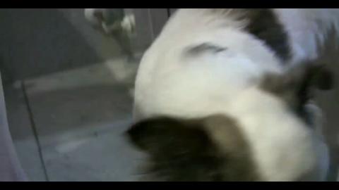56974