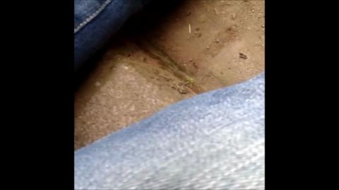 27316