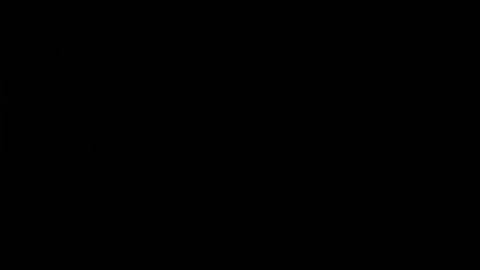 16317